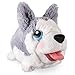 Chubby Puppies & Friends - Large Plush - Husky