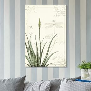 Vintage Style Aloes Plant