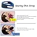 Anti Snoring Chin Strap,Snoring Solution and Anti Snoring Devices,Snoring Chin Strap for Sleep Apnea,Adjustable Snore Chin Strap for Sleeping,Stop Snoring Devices (Gray-2) (Blue-1)