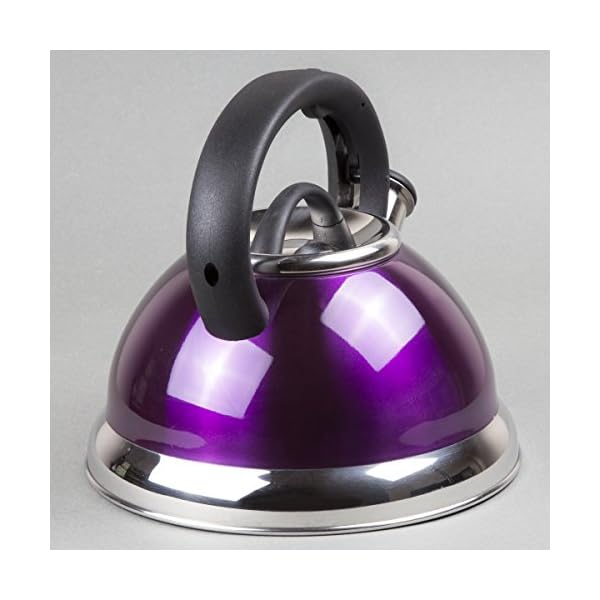 Creative Home Alexa 3.0 Quart Stainless Steel Whistling Tea Kettle Fast