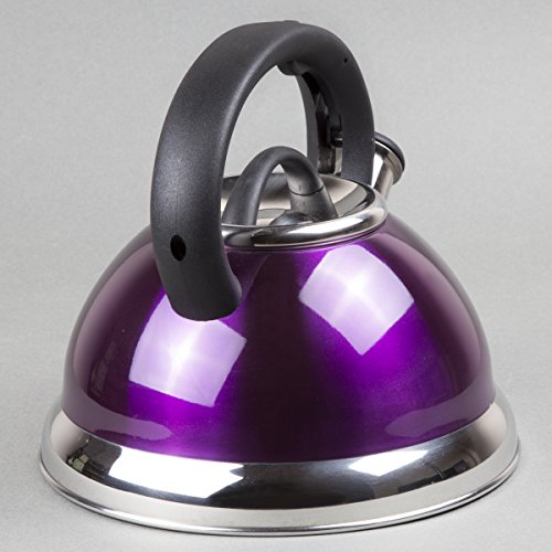 Creative Home Alexa 3.0 Quart Stainless Steel Whistling Tea Kettle Fast