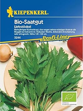 Liebstöckel Maggikraut Biosaatgut
