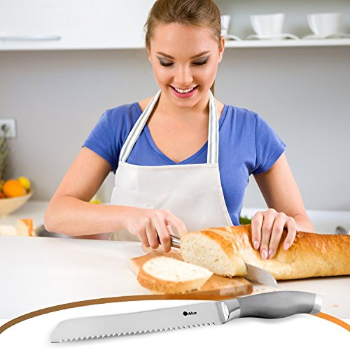 ORBLUE Stainless Steel Serrated Bread Slicer Knife The Home Kitchen Store