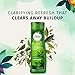 Herbal Essences Tea-Lightfully Clean Refreshing Conditioner 10.1 FL OZ