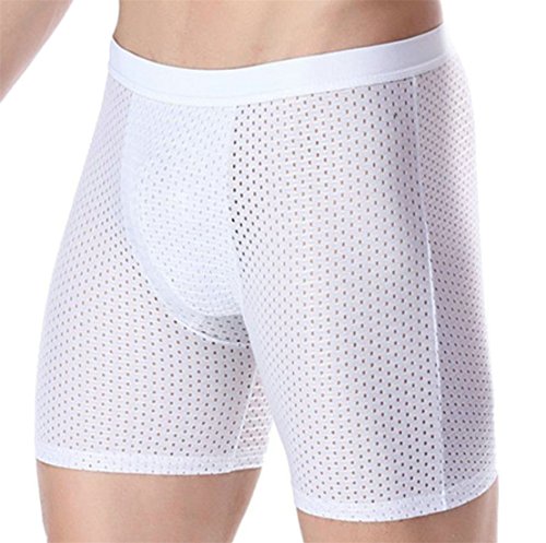Joe Wenko Mens Running Quick Drying Sexy Breathable Fitness Pointelle Silk Underwear Boxer Briefs