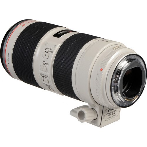 Canon - ＣＡＮＯＮ　ＥＦ７０－２００ｍｍ　Ｆ２．８Ｌ　ＩＳＩＩＵＳＭ Amazon.com : Canon EF 70-200mm f/2.8L IS II Telephoto Zoom