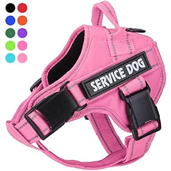 Service Dog Harness, No Pull Dog Harnesses with Handle - Breathable and Easy Adjust Dog Walking Vest for Small Medium Large Dogs - No More Pulling, Tugging or Choking (with 2 Velcro Patches)