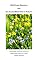 Livro Wild Flower Meadows and The ArcelorMittal Orbit in Pictures (Albuns de Fotos Livro 18)