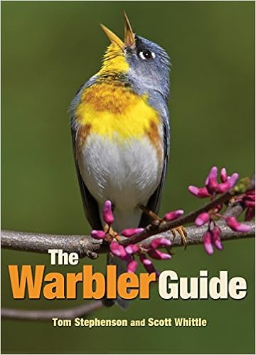 The Warbler Guide Amazon Co Uk Stephenson Tom Whittle Scott 9780691154824 Books