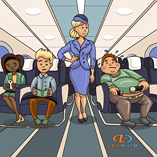 airplane seat extender