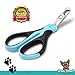 Best Stainless Steel Dog Nail Clippers & Trimmers for Small Breed Dogs, Cats, and Pets With Safety Angled Blade by Green Street Pet Basics