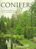 Conifers by