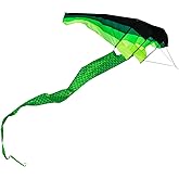 Christen Sunny Professional Adult Kite - Giant 3D Gliders Design with Long Tail,118 inch Large Box Beach Kite for Outdoor Flying,No String Included,Easy to Fly Kites