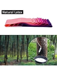 Resistance Loop Bands with Portable bag for the whole body, Set of 5 Exercise Bands and Pro Guide, Natural Latex Workout Bands for Home Fitness, Stretching, Weight Training, Physical Therapy and Yoga