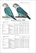 The Encyclopedia of Agapornis - Lovebirds