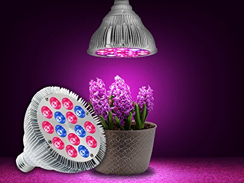 Hoont8482; LED Grow Light – Indoor Plant, Flowers and Herb Light; For Indoor Growing and Hydroponics – (Fits Standard Socket, E27, 15W, Long Lasting 50,000 hours, Low Energy Consumption, Low Heat) - Thumbnail 5