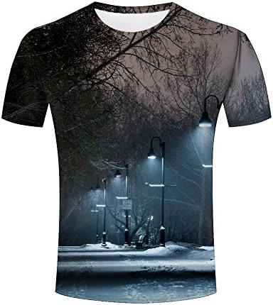 Men's 3D Print T-Shirts Snow Night Trees Street Lights Casual Summer Crewneck Short Sleeve Polyester Novelty Tees S
