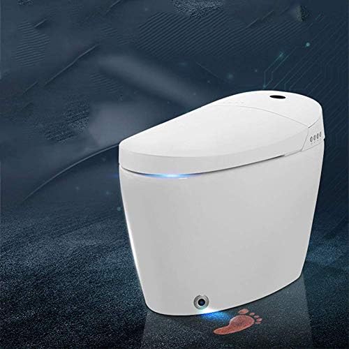 ワンピーストイレビデセラミックレーダー誘導自動フリップシート加熱活性炭ろ過自動 Pswconcept Pl