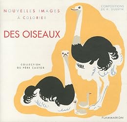 Des  oiseaux