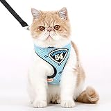 Baby-Story Pet Control Harness and Leash Set for Dog & Cat, Soft and Easy To Walking (M)