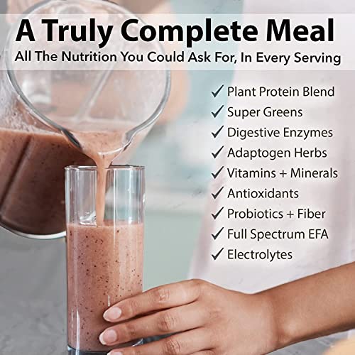 PlantFusion Complete Meal Replacement Shake Plant Based Protein Powder with Superfoods, Greens