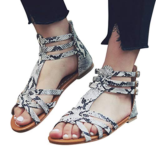 Women Summer Fashion Leopard Casual Shoes Gladiator Roman Sandals Balla Buckle Strap Flat Peep Toe Sandal Gray
