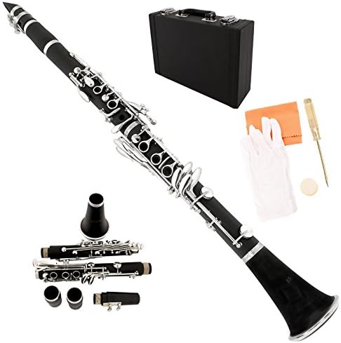 Black Professional School Band Bb Clarinet with Case + Care Kit for New Learner