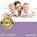 Ivy Union Premium Ultra-Soft Microfiber Sheet Set Twin Extra Long, Twin XL (Lavender)