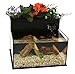 Fin to Flower Aquaponic Aquarium - Midsize System B (Black)