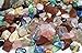 Best Rock Collection. Includes Huge Megalodon Shark Tooth, 2 Large Geodes and 3 LBS. (About 100 specimens) and Identification Chart.