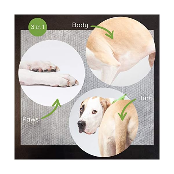 Earth-Rated-Dog-Wipes-100-Compostable-Pet-Grooming-Wipes-For-Dogs-Cats-USDA-Certified-99-Percent-Biobased-Hypoallergenic-20x20cm-Unscented-Cleaning-Wipes-For-Paw-Tushie-Bum Earth Rated Dog Wipes, Thick Plant Based Grooming Wipes For Easy Use on Paws, Body and Bum, Unscented, 100 Count