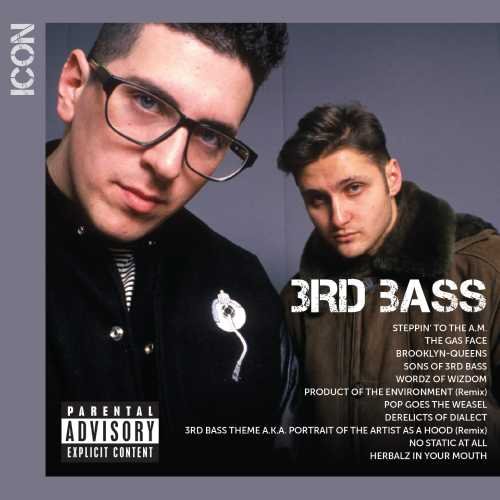 3rd Bass - Icon - Zortam Music