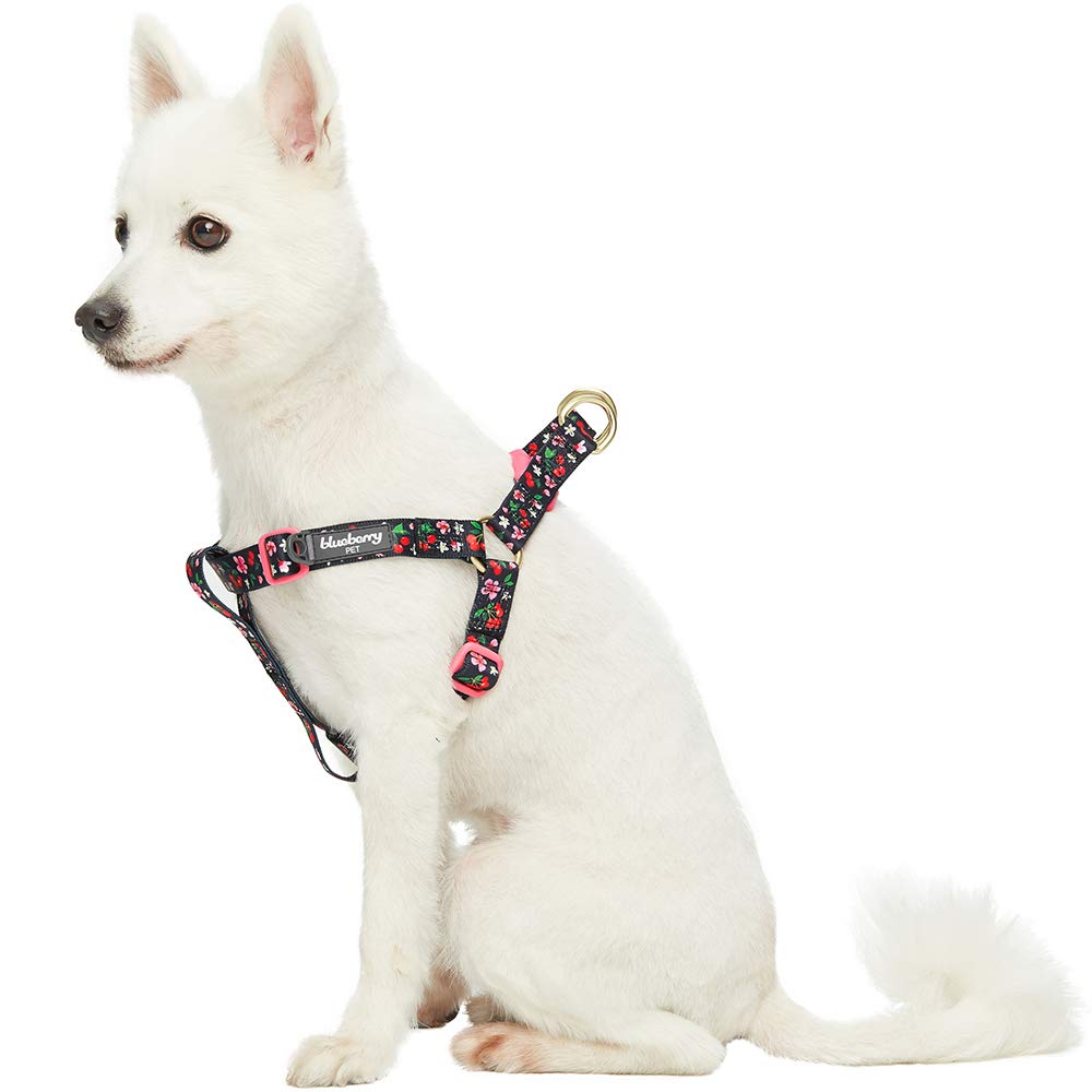 Blueberry Pet Step-in Cherry Garden Black Dog Harness, Chest Girth 51cm-66cm, Medium, Adjustable Harnesses for Dogs