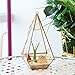 Mindful Design Glass Terrarium - Geometric Large Diamond Desktop Garden Planter (Gold)