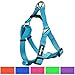 Blueberry Pet Essentials Step-in Dog Harness, Large Size | Adjustable Turquoise Vest | Classic Solid Nylon for Boy & Girl Dogs, Chest Girth 26