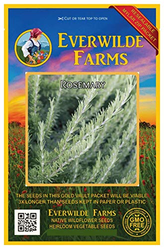 Everwilde Farms - 300 Rosemary Herb Seeds - Gold Vault Jumbo Seed Packet