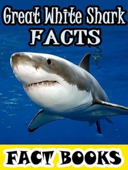 Great White Shark Facts Shark Facts And Cool Pictures