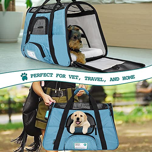 PetAmi Premium Airline Approved SoftSided Pet Travel Carrier Ideal