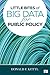 Little Bites of Big Data for Public Policy