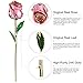 DEFAITH Real Rose 24K Gold Dipped, Forever Gifts for Wife Girlfriend Fiancee Her Valentines Day Anniversary Wedding and Marriage Proposal, Attractive Luster and Natural Shape with Crescent Stand