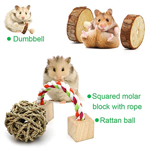 4 ZALALOVA+Chinchillas+Accessories+Dumbells+Exercise