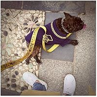 off white belt for dogs