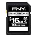 PNY 16 GB SDHC Class 4 Flash Memory Card (P-SDHC16G4H-GE)