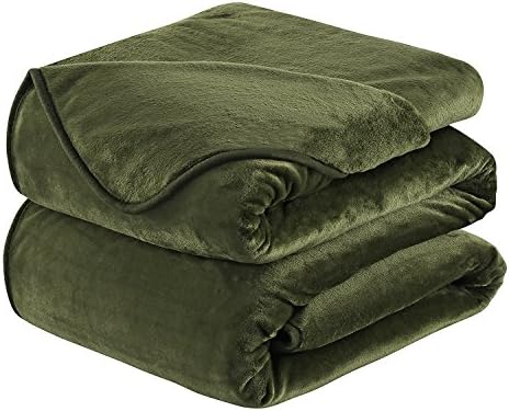 HOZY Soft Blanket Travel Size Fleece Warm Fuzzy Throw Blankets For The Bed Sofa Lightweight 350GSM Green 50" 61"
