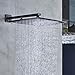 Rozin Rainfall 16-inch Bathroom Shower Head Square Top Spray Black Color