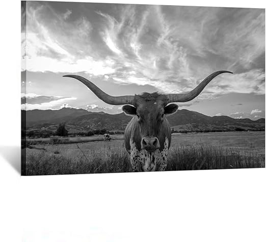 Amazon Com Kreative Arts Black And White Animal Canvas Wall Art