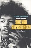 Jimi Hendrix and the Making of Are You Experienced (The Vinyl Frontier series)