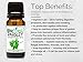 BioFinest Parsley Leaf Oil - 100% Pure Parsley Leaf Essential Oil -Help to Detox Body, Relieve Indigestion and Nausea - Premium Quality - Therapeutic Grade - Best For Aromatherapy - FREE E-Book (10ml)