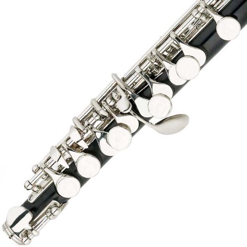 Mendini MPO-EN Black Resin Key of C Piccolo with Nickel Plated Keys with Case, Joint Grease, Cleaning Cloth and Rod, and Gloves