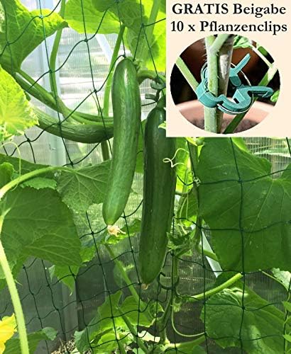 KRONLY - Red de Enrejado para pepinos y Tomates, 3 m x 2 m y 10 ...